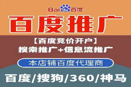 竞价推广实战：成功案例背后的技巧揭秘